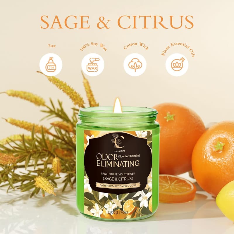 Lavender Soy Candle for Home - 50+ Hours Burn Time