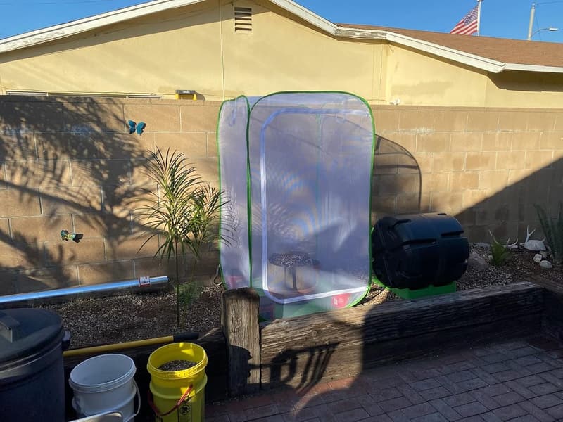 Outdoor Mesh Plant Enclosure for Pest Protection - 59