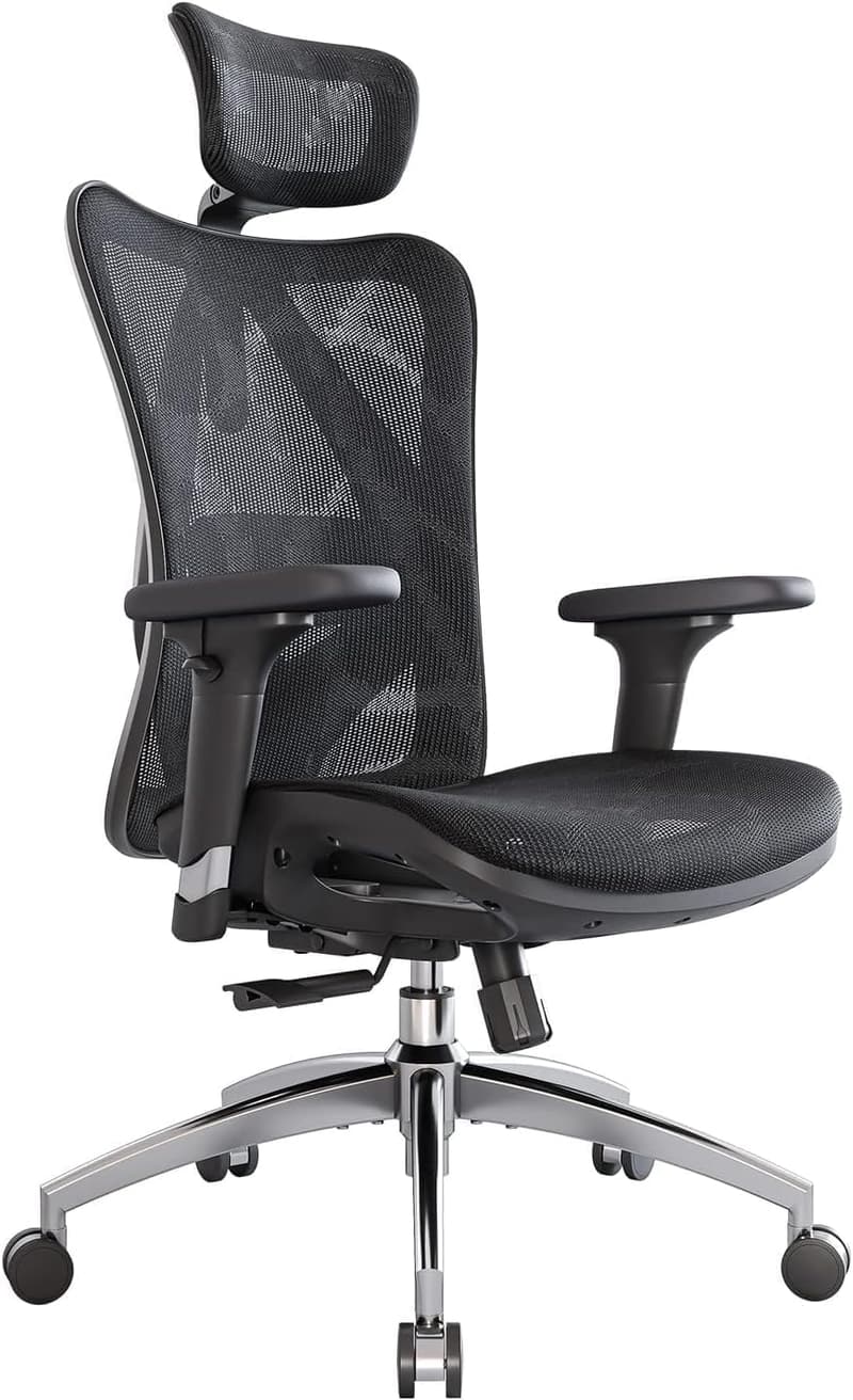 Ergonomic Office Chair with Adjustable Lumbar Support & Headrest