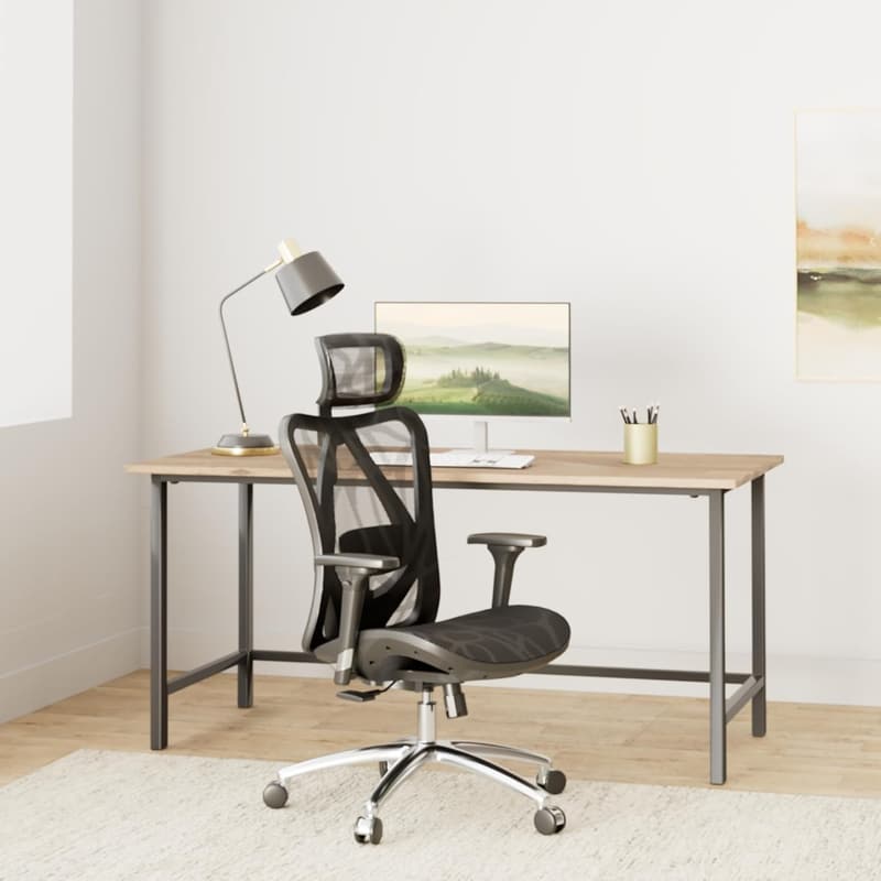 Ergonomic Office Chair with Adjustable Lumbar Support & Headrest