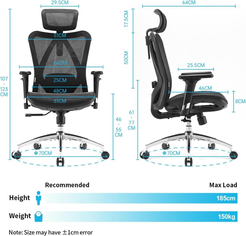 Ergonomic Office Chair with Adjustable Lumbar Support & Headrest