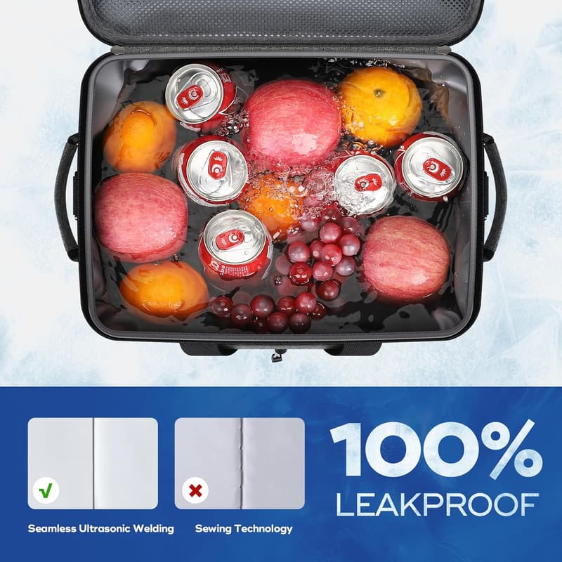 Collapsible Insulated Cooler Bag for Camping & Travel