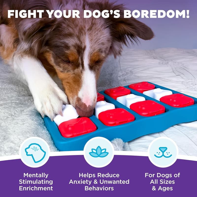 Dog Brick Treat Puzzle Toy - Level 2 Enrichment Game
