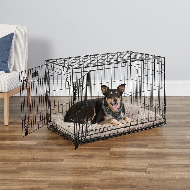 Enhanced iCrate Dog Crate with Leak-Proof Pan & Divider