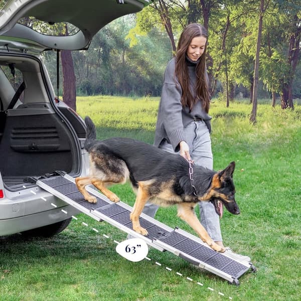 Telescoping Anti-Slip Dog Car Ramp for Large Dogs