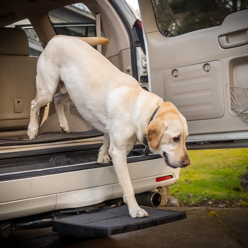 Portable Dog Ramp for Cars and SUVs – Lightweight & Easy Setup