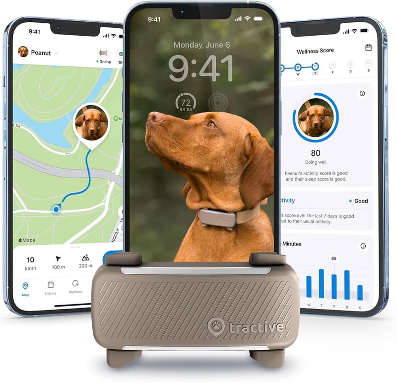 Tractive GPS Dog Tracker 2025 | Real-Time Location & Health Alerts