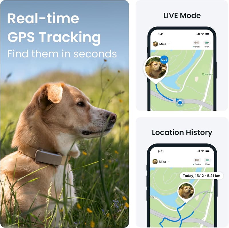 Tractive GPS Dog Tracker 2025 | Real-Time Location & Health Alerts