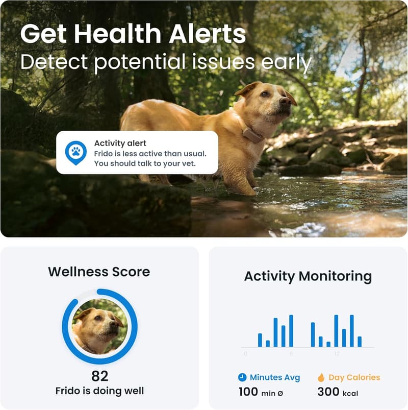 Tractive GPS Dog Tracker 2025 | Real-Time Location & Health Alerts