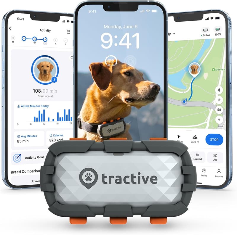 Adventure Edition XL GPS Dog Tracker with Health Alerts