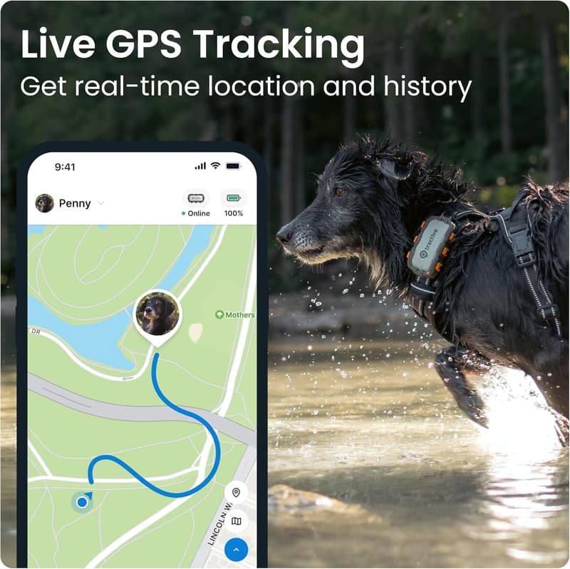 Adventure Edition XL GPS Dog Tracker with Health Alerts