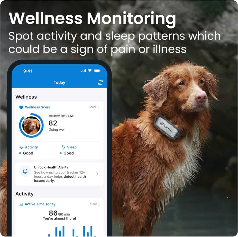 Adventure Edition XL GPS Dog Tracker with Health Alerts