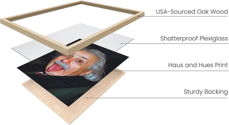 Funny Albert Einstein Meme Poster - Unframed 12x16 Wall Art for Guys