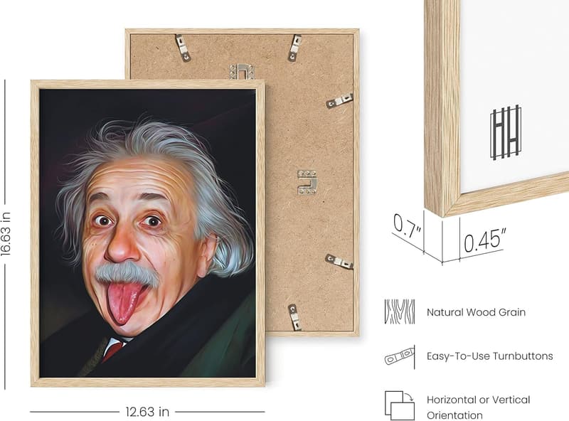 Funny Albert Einstein Meme Poster - Unframed 12x16 Wall Art for Guys