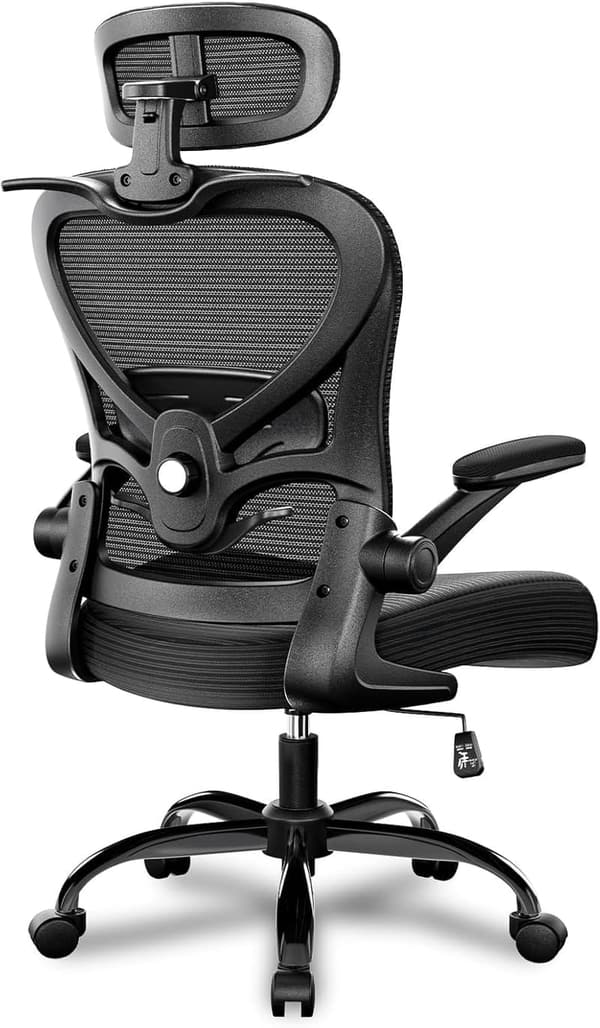 Ergonomic Mesh Office Chair with Adjustable Lumbar Support