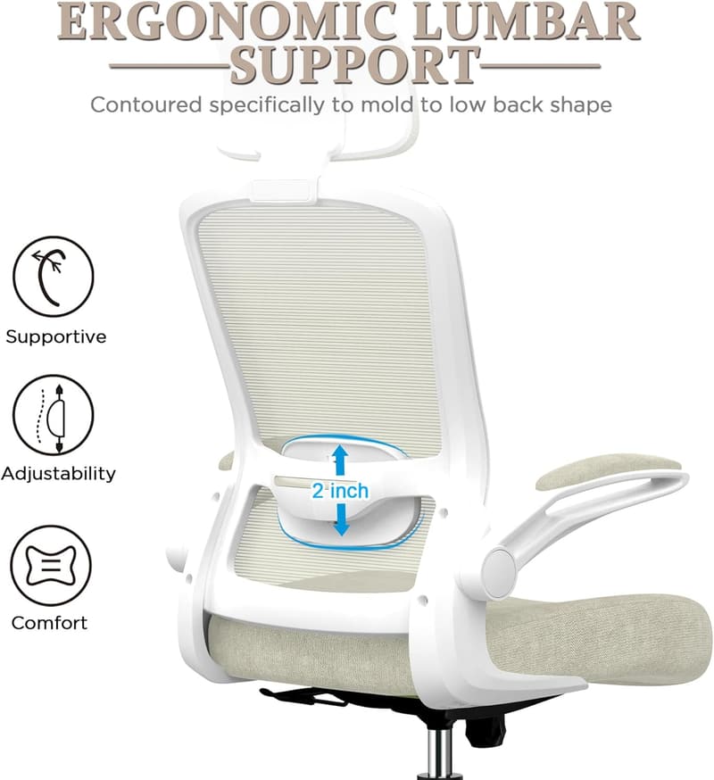 High Back Ergonomic Desk Chair with Adjustable Lumbar Support