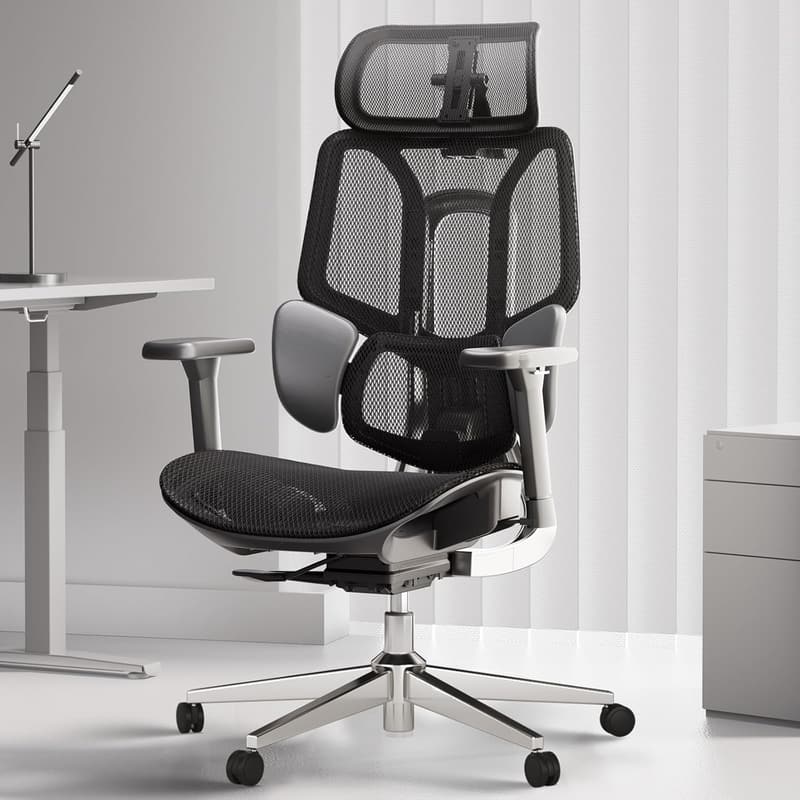 Ergonomic Office Chair for Big & Tall with 3D Lumbar Support