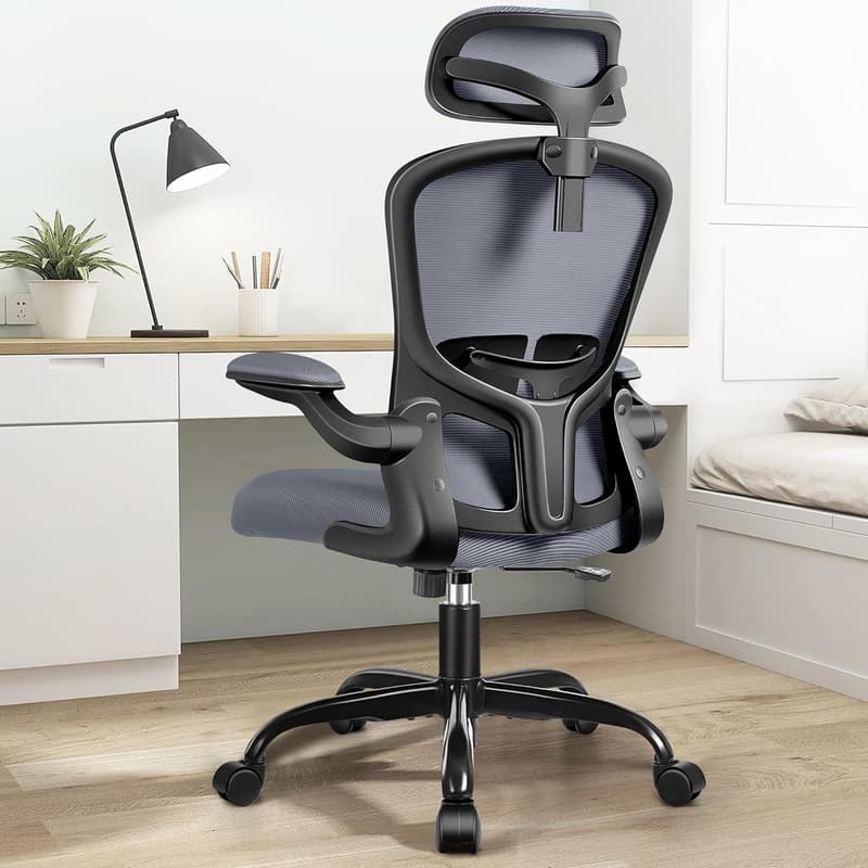 Ergonomic Desk Chair with Adjustable Lumbar Support – Dark Gray