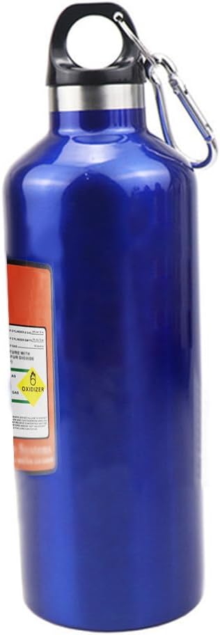 Reusable 17oz Stainless Steel Insulated Water Bottle - Blue