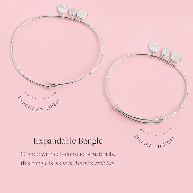 Game of Thrones Arya Stark Charm Bangle in Rafaelian Silver