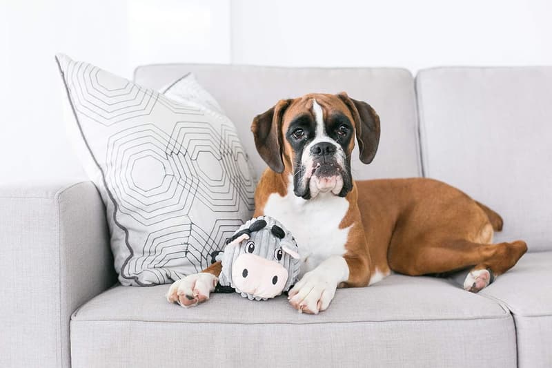 Medium Plush Squeaky Cow Dog Toy by Outward Hound