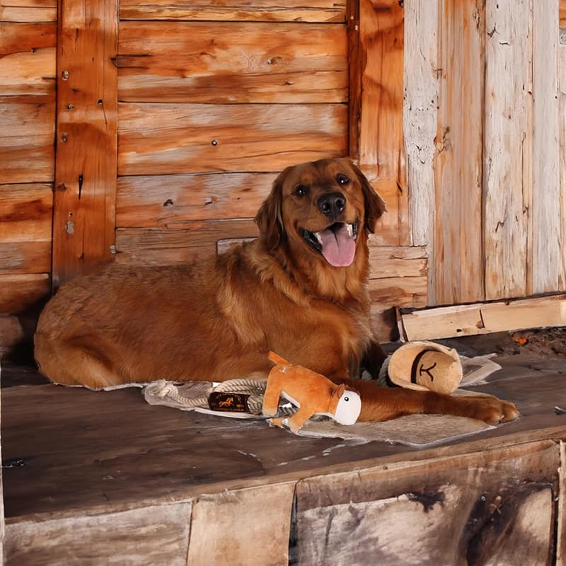 Yellowstone Indoor Dog Toy Bundle - Lasso Rope & Plush Cow