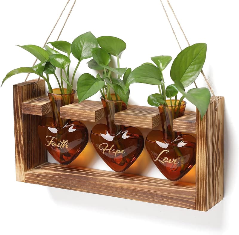 Heart-Shaped Glass Terrarium with Wooden Stand for Women