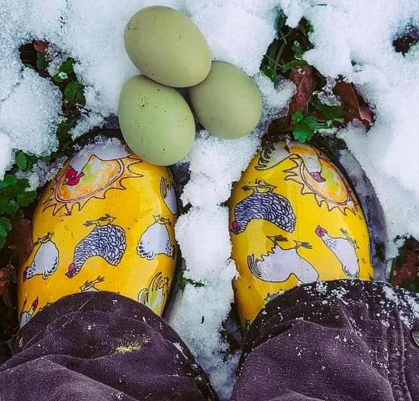 Women's Waterproof Slip-On Garden Clogs - Daffodil Yellow, Size 8