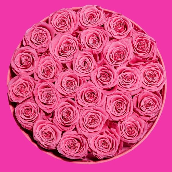 Mother's Day Velvet Pink Rose Box - Preserved Flowers for Her