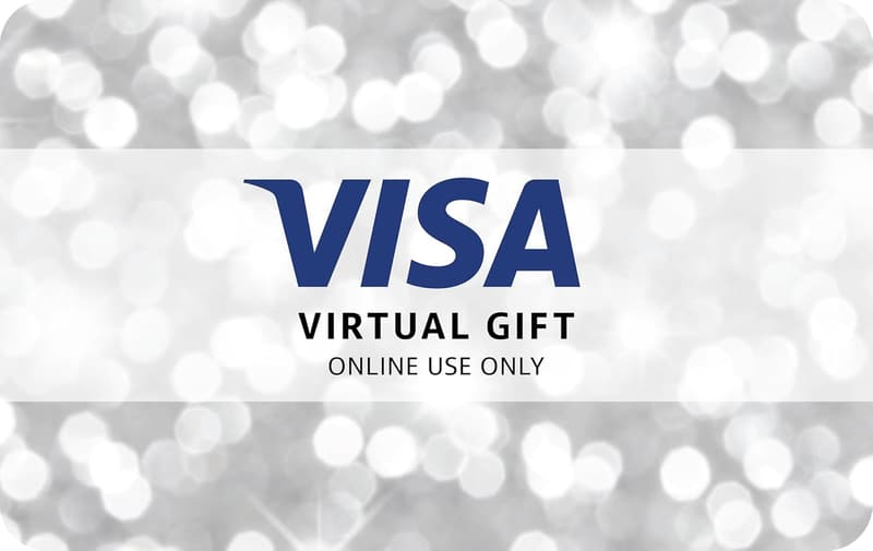 $100 Visa Virtual eGift Card for Online Use Only