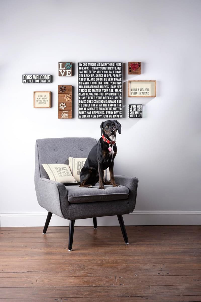 Dogs Welcome Rustic Wooden Sign for Dog Lovers' Decor - 5