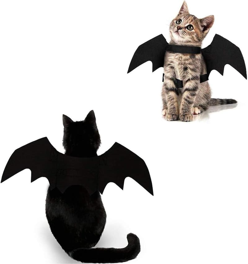 Halloween Cat Costume with Bat Wings for Small Pets