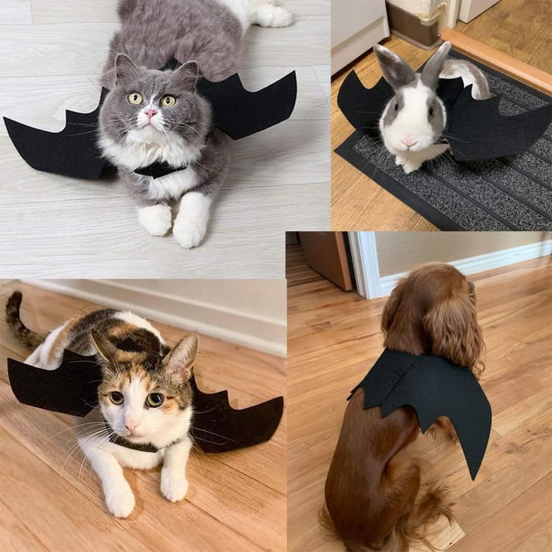 Halloween Cat Costume with Bat Wings for Small Pets
