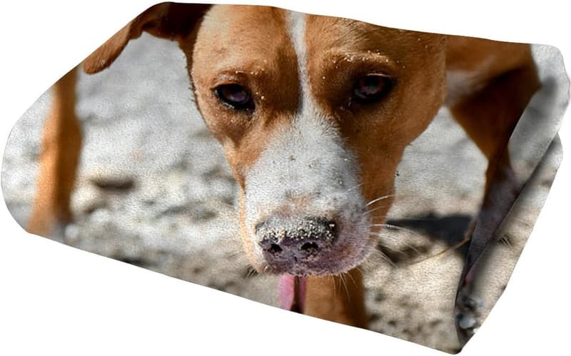 Personalized Custom Beach Towel with Photos and Text