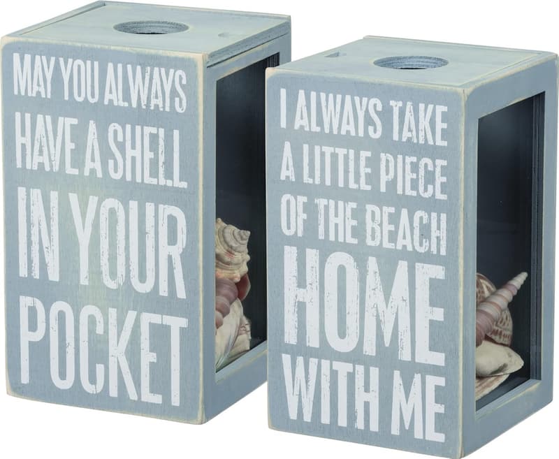Coastal Seashell Holder - Glass Display Treasure Chest Decor