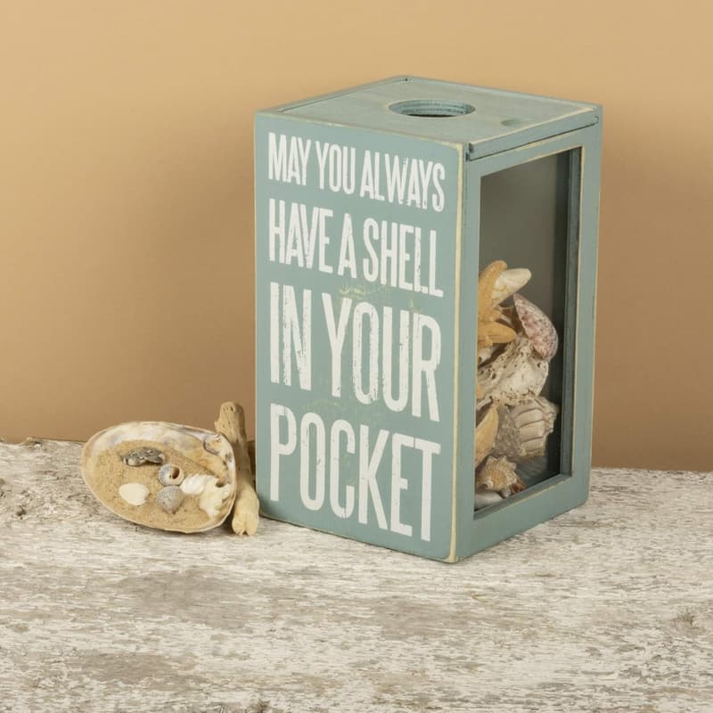Coastal Seashell Holder - Glass Display Treasure Chest Decor