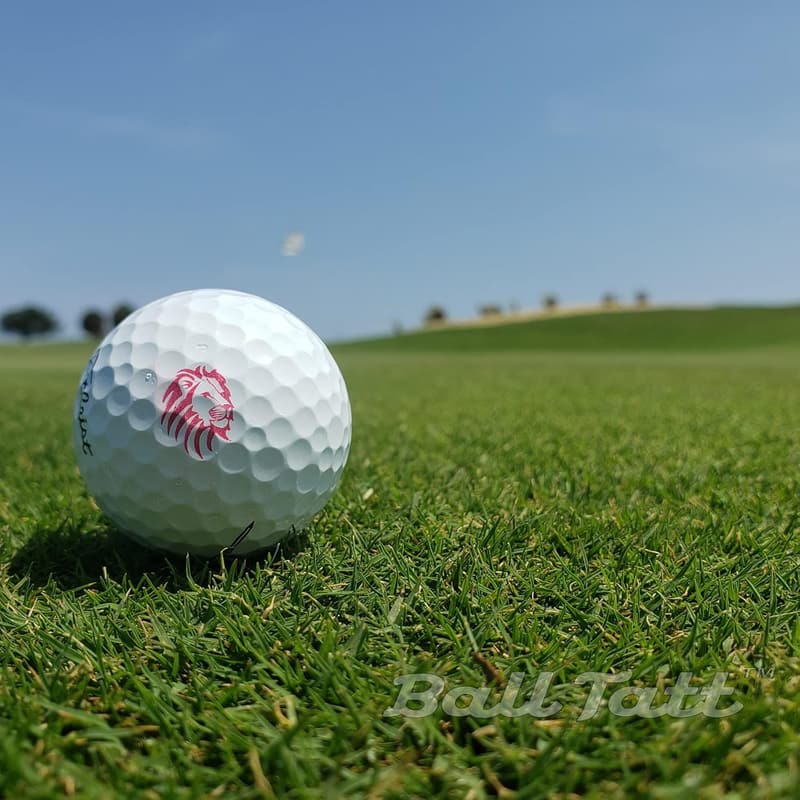 Golf Ball Stamp - Quick-Dry Self-Inking Marking Tool for Golfers