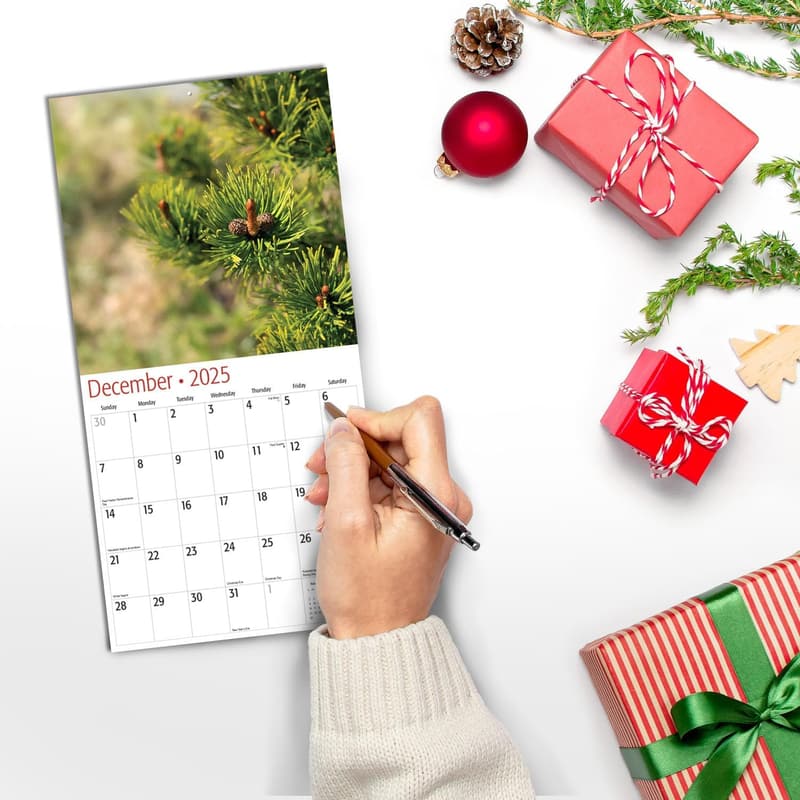 Funny Nature-Themed Wall Calendar 2025 - 7
