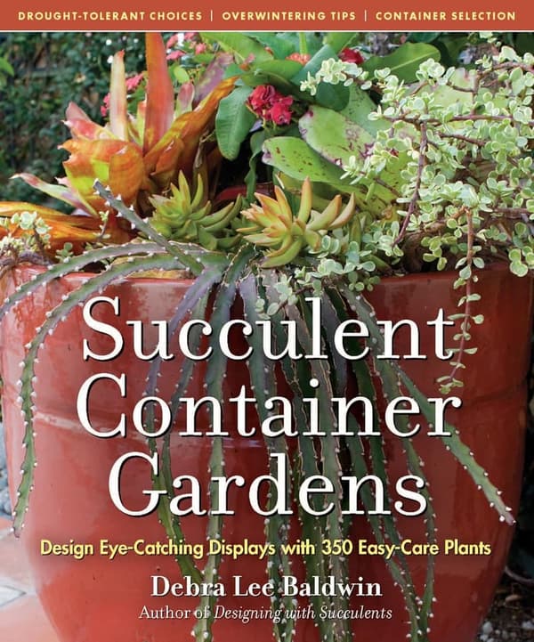 Succulent Container Gardens: Easy-Care Plant Display Ideas