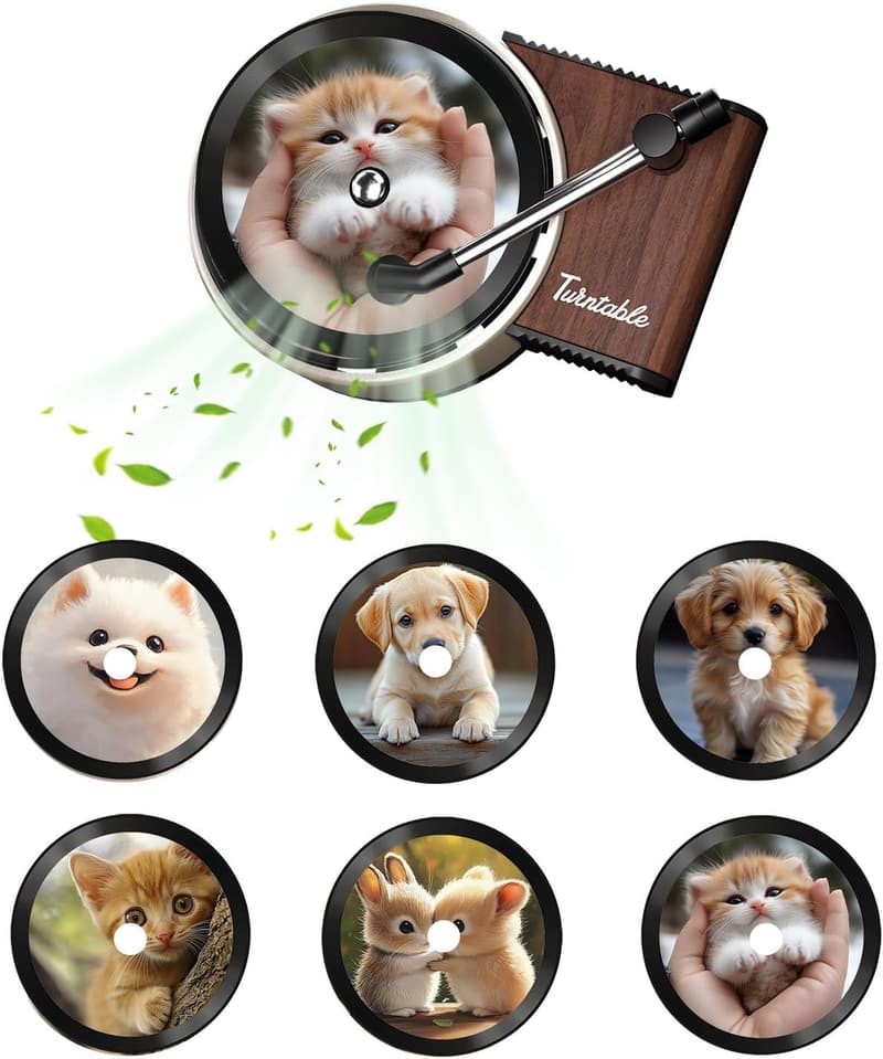 Custom Double-Sided Vinyl Car Air Fresheners - 6pcs