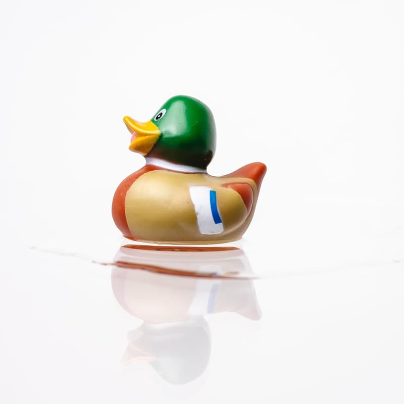Rubber Duck Bath Toys - 12 Pack of Mallard and Jeep Ducks