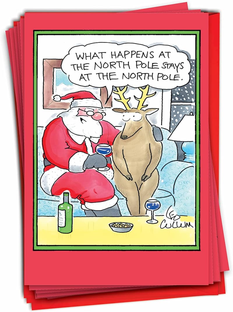 Funny Christmas Greeting Cards for Adults - Holiday Humor Boxed Set