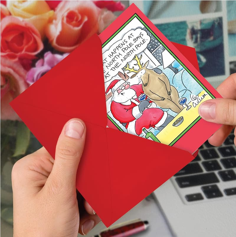 Funny Christmas Greeting Cards for Adults - Holiday Humor Boxed Set