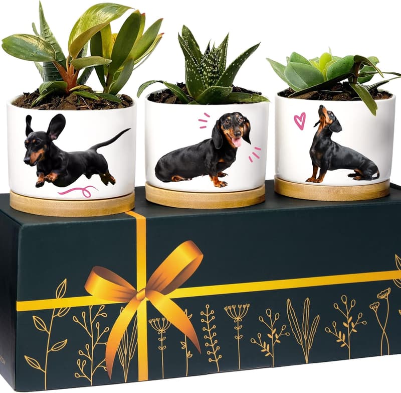 Dachshund Planters - Unique Dog Lover Gift Set for Birthdays