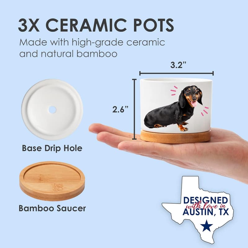 Dachshund Planters - Unique Dog Lover Gift Set for Birthdays