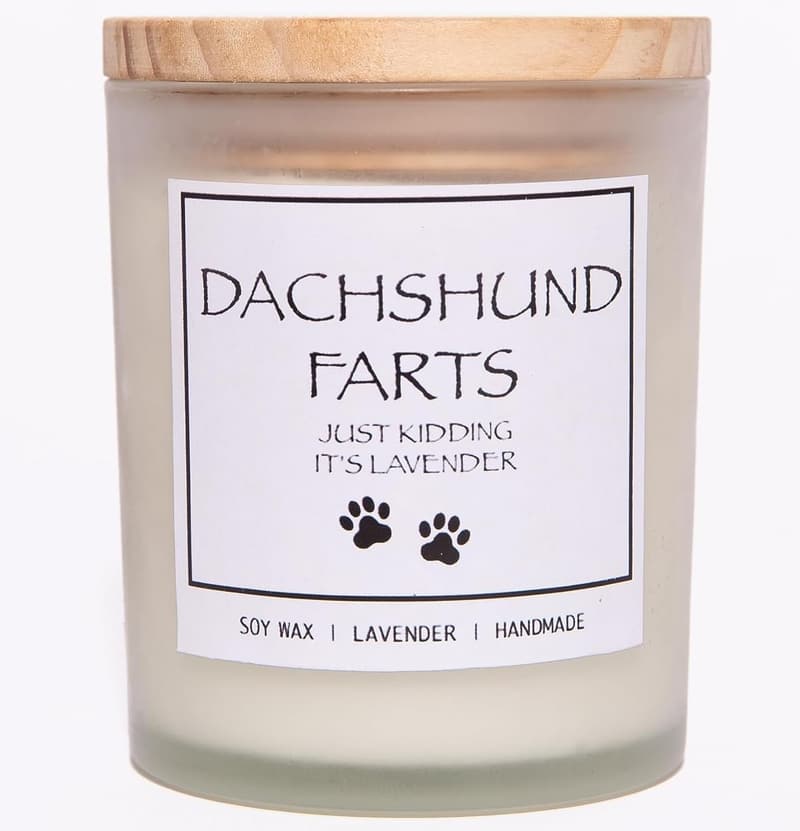 Dachshund Candle Gift for Dog Lovers
