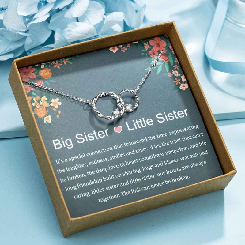 Sister Birthday Gift: Sterling Silver Interlocking Circles Necklace