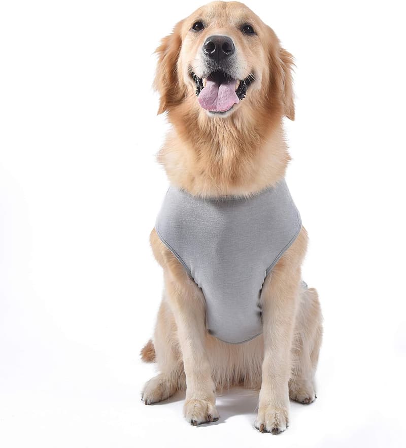 Star Wars 'You R2 Cool' Gray Dog Tank for Medium Dogs
