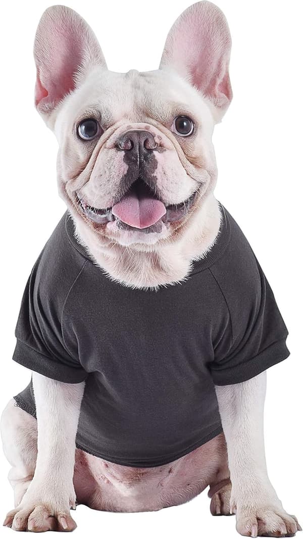 Boba Fett Dog T-Shirt for Large Breeds