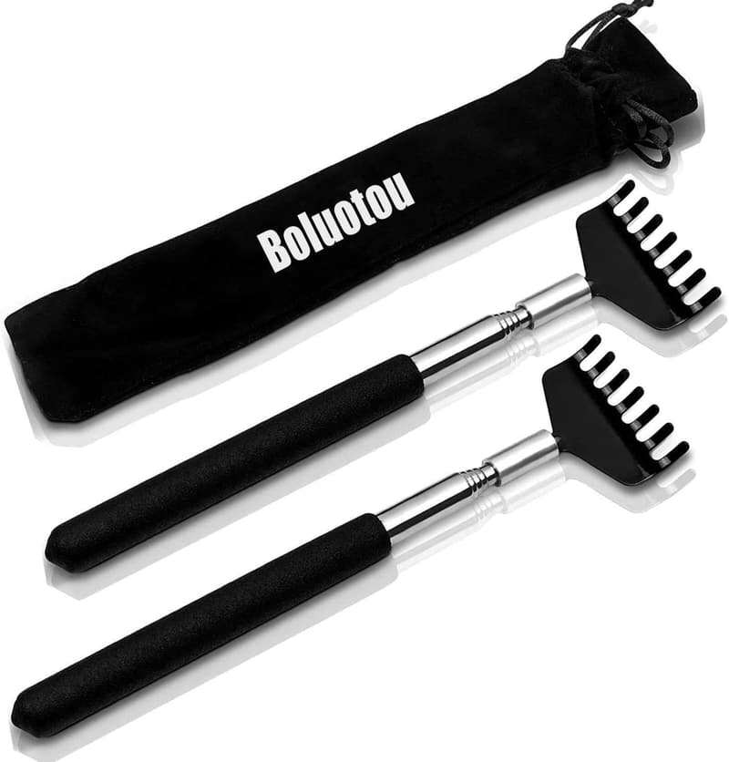 Portable Stainless Steel Telescoping Back Scratcher - 2 Pack